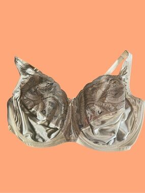 Vanity Fair Lace and Satin Underwire Bra in Champagne Beige
